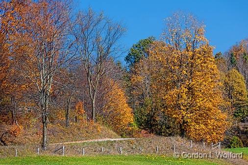 Autumn Backroad_23609.jpg - Photographed near Kaladar, Ontario, Canada.
